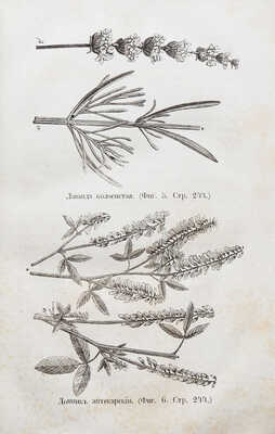 Целебный источник здоровья (домашний лечебник)... М., 1867.